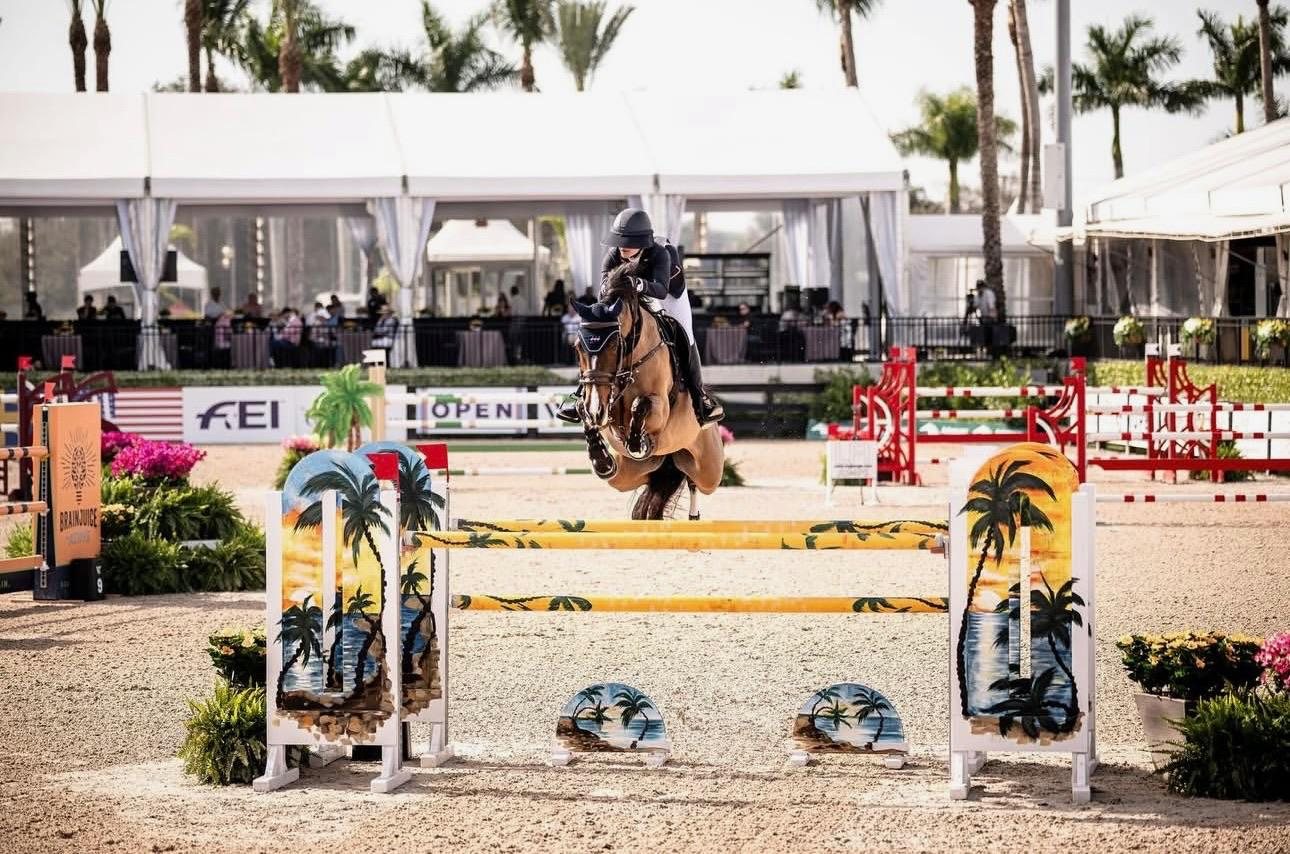 A palm-tree oxer at Wellington.